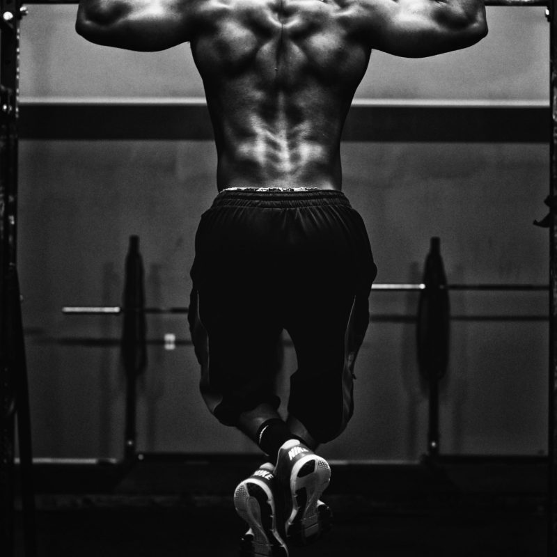 gym guy gym guy